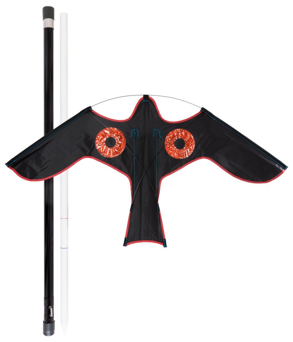 Fugleskremmer Blackbird