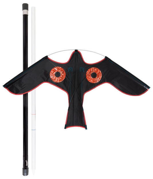 Fugleskremmer Blackbird